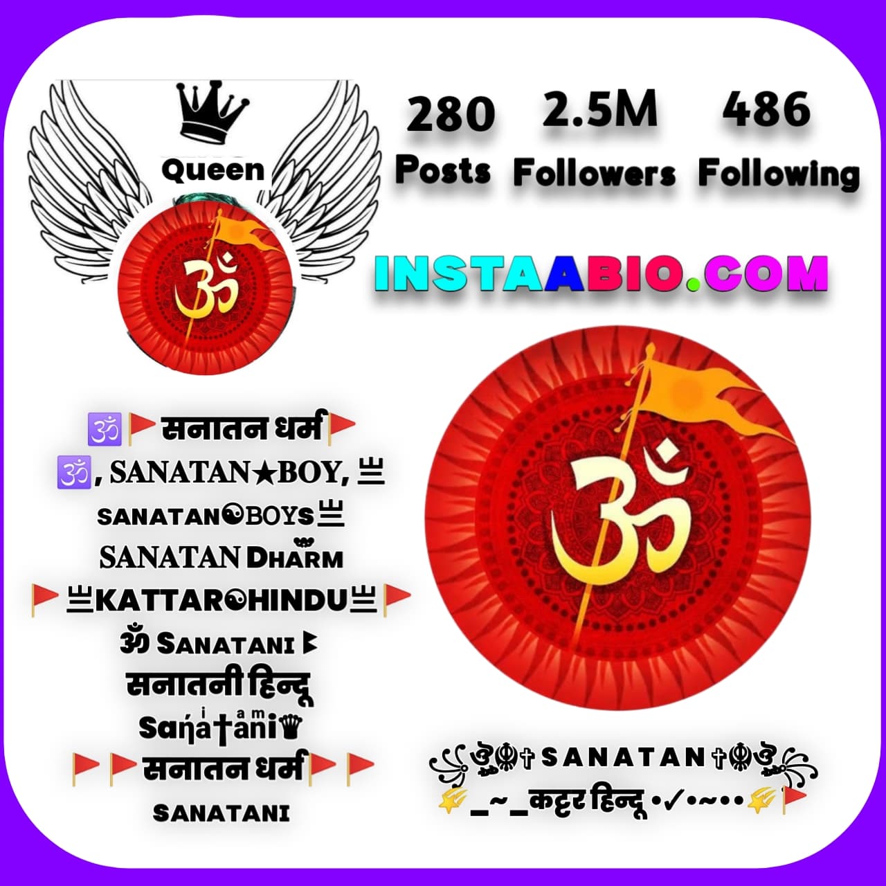 Sanatani Dharm Bio For Instagram